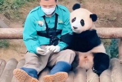 福宝宝最新爆料,最新爆料背后的惊人真相