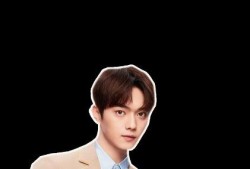 爆料许凯张楠视频,娱乐圈再掀波澜